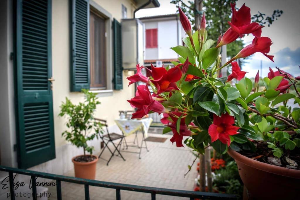 Ferienwohnung Casa Letizia Ponsacco Exterior foto